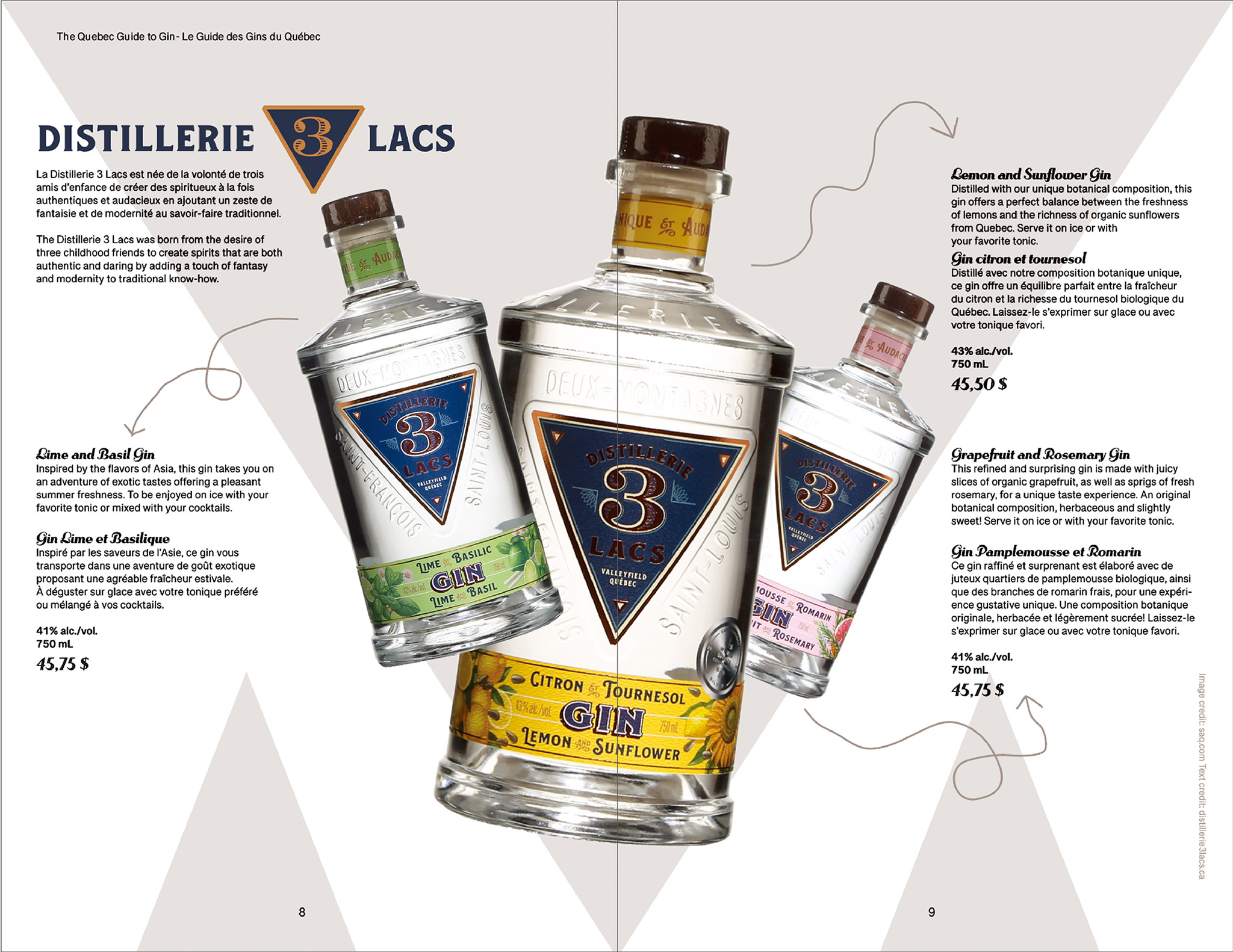 Two page catalog layout of Distillerie 3 Lacs Gin featuring logo, text about company and each featured flavor. At center of pages is three large bottles of Gin with different flavors. In the background are large triangle shapes.